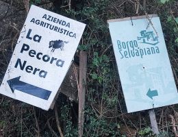 Immagine 2 di LARDO SPEZIATO DELLA COSTIERA DEL CECH DI SUINO NERO DELLE ALPI AGRITURISMO LA PECORA NERA