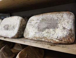 Immagine 4 di GIANDUIOTTO VALSESIA CASEIFICIO GIUNCA' A FOBELLO CASARO GIANLUCA BACCHELLA