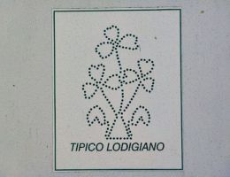 Immagine 5 di TIPICO LODIGIANO ZUCCHELLI CASEIFICIO ZUCCHELLI ORIO LITTA