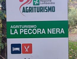 Immagine 2 di PROSCIUTTO CRUDO DELLE ALPI RETICHE DA SUINO NERO DELLE ALPI AGRI LA PECORA NERA