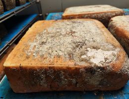 Immagine 5 di BEOLA  A LATTE DI CAPRA CASEIFICIO GIUNCA' A FOBELLO CASARO GIANLUCA BACCHELLA