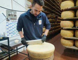 Immagine 1 di RASPADU'RA LODIGIANA  6  MESI CASEIFICIO ZUCCHELLI ORIO LITTA