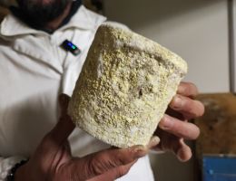 Immagine 5 di CAPPELLO DEL MAGO LATTE DI CAPRA CASEIFICIO GIUNCA' A FOBELLO CASARO GIANLUCA BACCHELLA