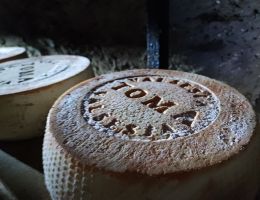 Immagine 4 di TOMA VALSESIA CASEIFICIO GIUNCA' A FOBELLO CASARO GIANLUCA BACCHELLA