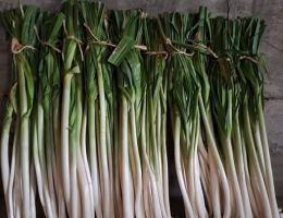 Immagine 3 di PORRO DI CERVERE AGRICOLA RINERO STEFANO