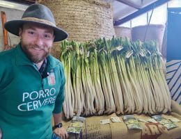 Immagine 4 di PORRO DI CERVERE AGRICOLA RINERO STEFANO