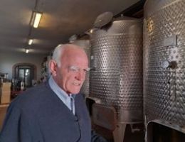 Immagine 1 di DISTILLATO DI SUSINE MIRABELLE CAPOVILLA DISTILLATI