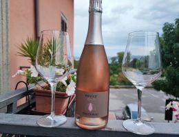 Immagine 1 di SPUMANTE ROSATO DI BRACHETTO D'ACQUI BRASCÈ ODDONE PRATI IN STREVI