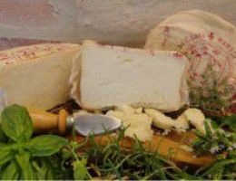 Immagine 2 di MASAGLINO FORMAGGIO DI GIARA CON FOGLIE ED ERBE AROMATICHE FOSSE VENTURI