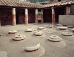 Immagine 3 di MASAGLINO FORMAGGIO DI GIARA CON FOGLIE ED ERBE AROMATICHE FOSSE VENTURI