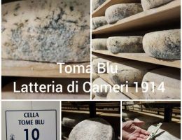 Immagine 1 di TOMA BLU PIEMONTESE ERBORINATA LATTERIA DI CAMERI