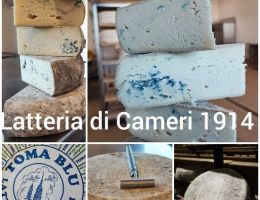 Immagine 3 di TOMA BLU PIEMONTESE ERBORINATA LATTERIA DI CAMERI