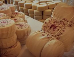 Immagine 3 di FORMAGGIO CONTADINO AFFINATO IN FOSSE DI TUFO DI PROPRIETA' FOSSE VENTURI