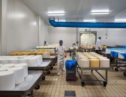 Immagine 3 di GORGONZOLA D.O.P. SAN  LUCIO RISERVA LATTERIA DI CAMERI 1914