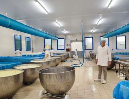 Immagine 4 di GORGONZOLA D.O.P. SAN  LUCIO RISERVA LATTERIA DI CAMERI 1914