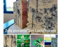 Immagine 1 di GORGONZOLA D.O.P. SAN  LUCIO RISERVA LATTERIA DI CAMERI 1914
