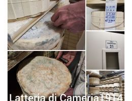 Immagine 5 di GORGONZOLA D.O.P. SAN  LUCIO RISERVA LATTERIA DI CAMERI 1914