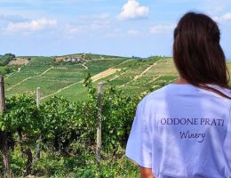 Immagine 1 di PIEMONTE ALBAROSSA D.O.C. AICANE' OODONE PRATI VITIVCOLTORE IN STREVI