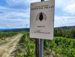 Immagine 2 di PIEMONTE ALBAROSSA D.O.C. AICANE' OODONE PRATI VITIVCOLTORE IN STREVI