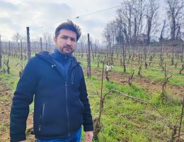 Immagine 4 di VALTOLLA BIANCO FERMO DA  UVE MALVASIA DI CANDIA AROMATICA 100% CROCI VINI NATURALI