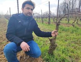 Immagine 4 di CAMPEDELLO VINO BIANCO FRIZZANTE DI UVE MALVASIA AROMATICA ORTRUGO CROCI VINI NATURALI