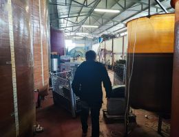 Immagine 5 di CAMPEDELLO VINO BIANCO FRIZZANTE DI UVE MALVASIA AROMATICA ORTRUGO CROCI VINI NATURALI