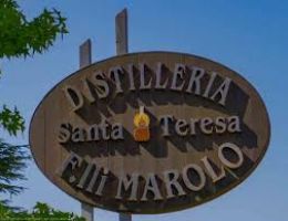 Immagine 5 di GRAPPA DI ARNEIS DEL ROERO DISTILLERIA MAROLO 1977 ALBA