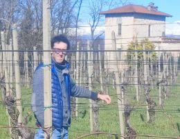 Immagine 4 di COLLINE NOVARESI VESPOLINA D.O.C. 54 ROSSO MIRU' VINI ALTO PIEMONTE