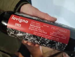 Immagine 3 di LAVIGNA CROATINA ROSSO VECCHIA VIGNA MAGGIORINA SANTUVARIO VINI NATURALI BOCA