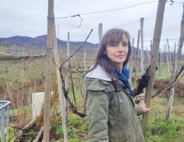 Immagine 4 di LAVIGNA CROATINA ROSSO VECCHIA VIGNA MAGGIORINA SANTUVARIO VINI NATURALI BOCA