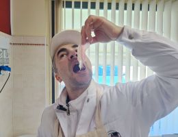 Immagine 5 di FIOCCO DI SPALLA  CRUDA DI PALASONE DA SUINO NERO DI PARMA DI SIMONE BERTOLAZZI DI PARMA