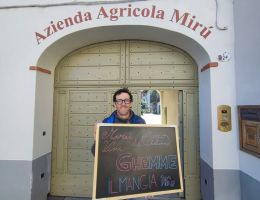 Immagine 5 di GHEMME D.O.C.G. CLASSICO MIRU' VINI ALTO PIEMONTE