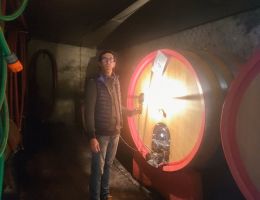 Immagine 2 di GHEMME D.O.C.G. CLASSICO MIRU' VINI ALTO PIEMONTE