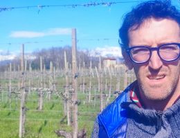 Immagine 4 di GHEMME D.O.C.G. VIGNA CAVENAGO MIRU' VINI ALTO PIEMONTE