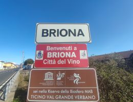 Immagine 2 di SIZZANO D.O.C. RISERVA ROANO VIGNETI VALLE RONCATI BRIONA