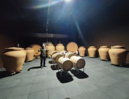 Immagine 3 di ERBALUCE DI CALUSO D.O.C.G. TURCIAURA LUCA LEGGERO ALTO PIEMONTE