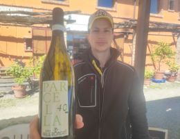 Immagine 1 di COLLINE NOVARESI ERBALUCE DOC PARCELLA 40 VIGNETI VALLE RONCATI