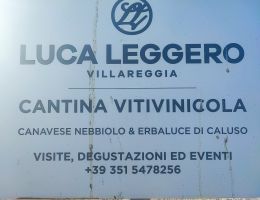 Immagine 2 di LANGHE D.O.C. DOLCETTO BIO RETRO' LUCA LEGGERO ALTO PIEMONTE