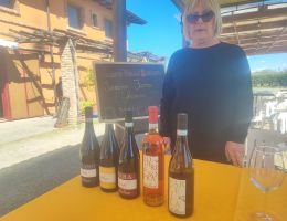 Immagine 4 di COLLINE NOVARESI NEBBIOLO ROSATO D.O.C. PODERI DI SOPRA VIGNETI VALLE RONCATI