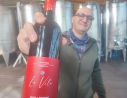 Immagine 1 di CANAVESE D.O.C. NEBBIOLO BIO LA VILA LUCA LEGGERO ALTO PIEMONTE