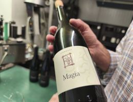 Immagine 2 di ROSSO FRIZZANTE MAGIA RIFERMENTATO VAL D'ARDA MARCO CORDANI VINI COLLI PIACENTINI