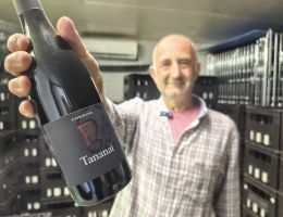 Immagine 1 di ROSSO FERMO SYRAH TANANAI VAL D'ARDA MARCO CORDANI VINI COLLI PIACENTINI