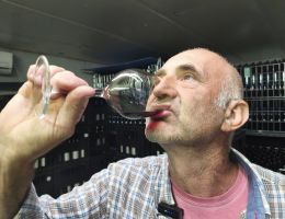 Immagine 2 di ROSSO FERMO SYRAH TANANAI VAL D'ARDA MARCO CORDANI VINI COLLI PIACENTINI
