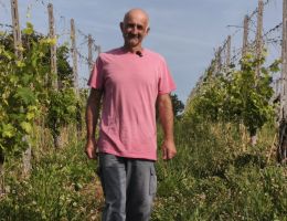 Immagine 4 di ROSSO FERMO SYRAH TANANAI VAL D'ARDA MARCO CORDANI VINI COLLI PIACENTINI