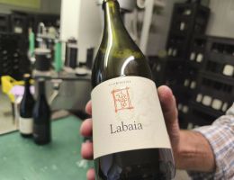 Immagine 2 di BIANCO FRIZZANTE LABAIA RIFERMENTATO VAL D'ARDA  MARCO CORDANI VINI COLLI PIACENTINI