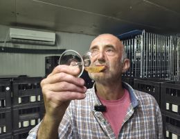 Immagine 3 di BIANCO FRIZZANTE LABAIA RIFERMENTATO VAL D'ARDA  MARCO CORDANI VINI COLLI PIACENTINI