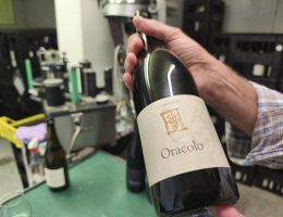 Immagine 4 di BIANCO FERMO ORACOLO VAL D'ARDA MARCO CORDANI VINI COLLI PIACENTINI