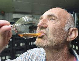 Immagine 2 di BIANCO FERMO ORACOLO VAL D'ARDA MARCO CORDANI VINI COLLI PIACENTINI