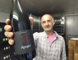 Immagine 1 di ROSSO FERMO APOGEO VAL D'ARDA MARCO CORDANI VINI COLLI PIACENTINI