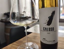 Immagine 3 di CALUSO D.O.C.G. ERBALUCE DI CAREMA CANTINA SORPASSO VINI DI CAREMA A CAREMA